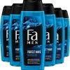Fa Perfect Wave Douchegel 6x 250ml - Grootverpakking