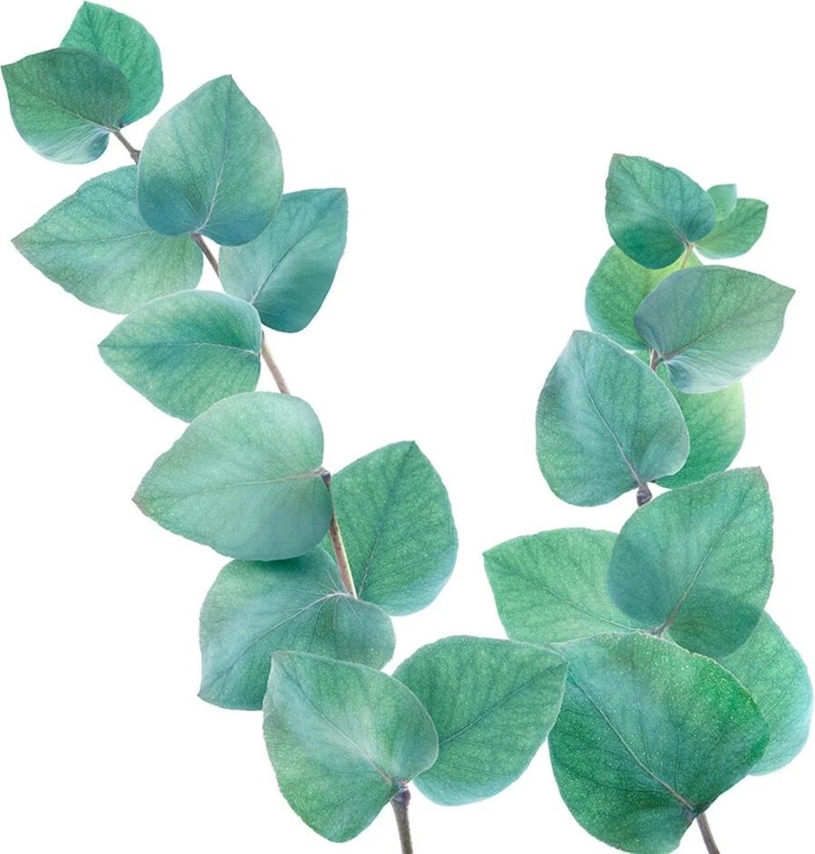 Kneipp Refreshing - Badolie 8 Kneipp Refreshing - Badolie - Afbeelding 8