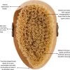 SkinTone® - Dry Brushing Huidborstel Met Natuurlijke Haren - Huidverbetering - Anti Cellulitis Brush - Lichaamsborstel - Droogborstel