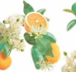 Kneipp Pure Harmony - Douchegel -Lichaamsverzorging 1200x1134 1