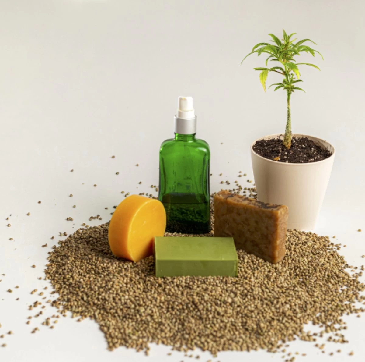 Stichting WietOliePuur - CBD - Zeep - 10% - 50gr. 1 Stichting WietOliePuur - CBD - Zeep - 10% - 50gr.