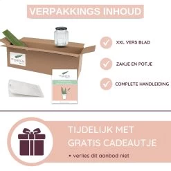 Dr. Green® 1x- Aloë Vera Blad - MAAK GEL IN 3 MINUTEN - 100% Puur - Biologisch -Lichaamsverzorging 1200x1200 101