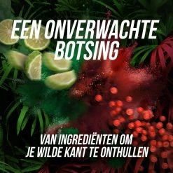 Axe Wild Fresh Bergamot & Pink Pepper Deodorant Bodyspray - 6 X 150 Ml - Voordeelverpakking -Lichaamsverzorging 1200x1200 1025