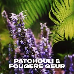 Axe Musk Bodyspray Deodorant - 6 X 150 Ml - Voordeelverpakking 14 Axe Musk Bodyspray Deodorant - 6 X 150 Ml - Voordeelverpakking -Lichaamsverzorging 1200x1200 1114