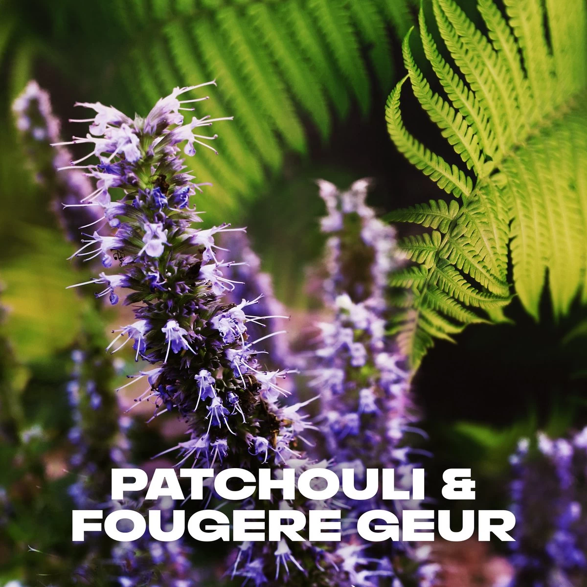 Axe Musk Bodyspray Deodorant - 6 X 150 Ml - Voordeelverpakking 7 Axe Musk Bodyspray Deodorant - 6 X 150 Ml - Voordeelverpakking - Afbeelding 7