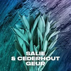 Axe Apollo Anti-transpirant Spray - 6 X 150 Ml - Voordeelverpakking -Lichaamsverzorging 1200x1200 1192