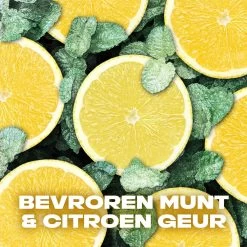 Axe Ice Chill Bodyspray Deodorant - 6 X 200 Ml - Voordeelverpakking 12 Axe Ice Chill Bodyspray Deodorant - 6 X 200 Ml - Voordeelverpakking -Lichaamsverzorging 1200x1200 1270