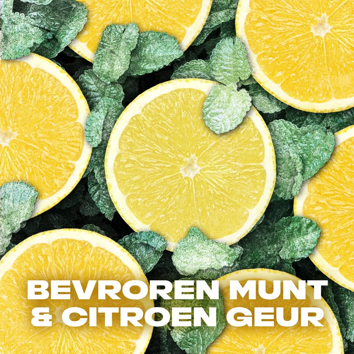 Axe Ice Chill Bodyspray Deodorant - 6 X 200 Ml - Voordeelverpakking 6 Axe Ice Chill Bodyspray Deodorant - 6 X 200 Ml - Voordeelverpakking - Afbeelding 6