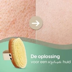 100% Vegan Lichaamsborstel - 0% Plastic - Dry Brushing Badborstel/Droogborstel/Doucheborstel/Huidborstel - Beukenhout -Lichaamsverzorging 1200x1200 419