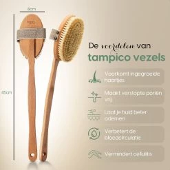100% Vegan Lichaamsborstel Met Lange Afneembare Steel - Rugborstel/Badborstel/Doucheborstel - Dry Brushing Huidborstel - Droogborstel - Douche -Lichaamsverzorging 1200x1200 450