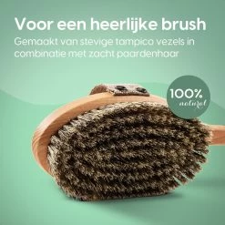 100% Natuurlijke Lichaamsborstel Met Lange Afneembare Steel - Rugborstel Badborstel Doucheborstel - Dry Brushing Huidborstel - Droogborstel - Douche 13 100% Natuurlijke Lichaamsborstel Met Lange Afneembare Steel - Rugborstel Badborstel Doucheborstel - Dry Brushing Huidborstel - Droogborstel - Douche -Lichaamsverzorging 1200x1200 504
