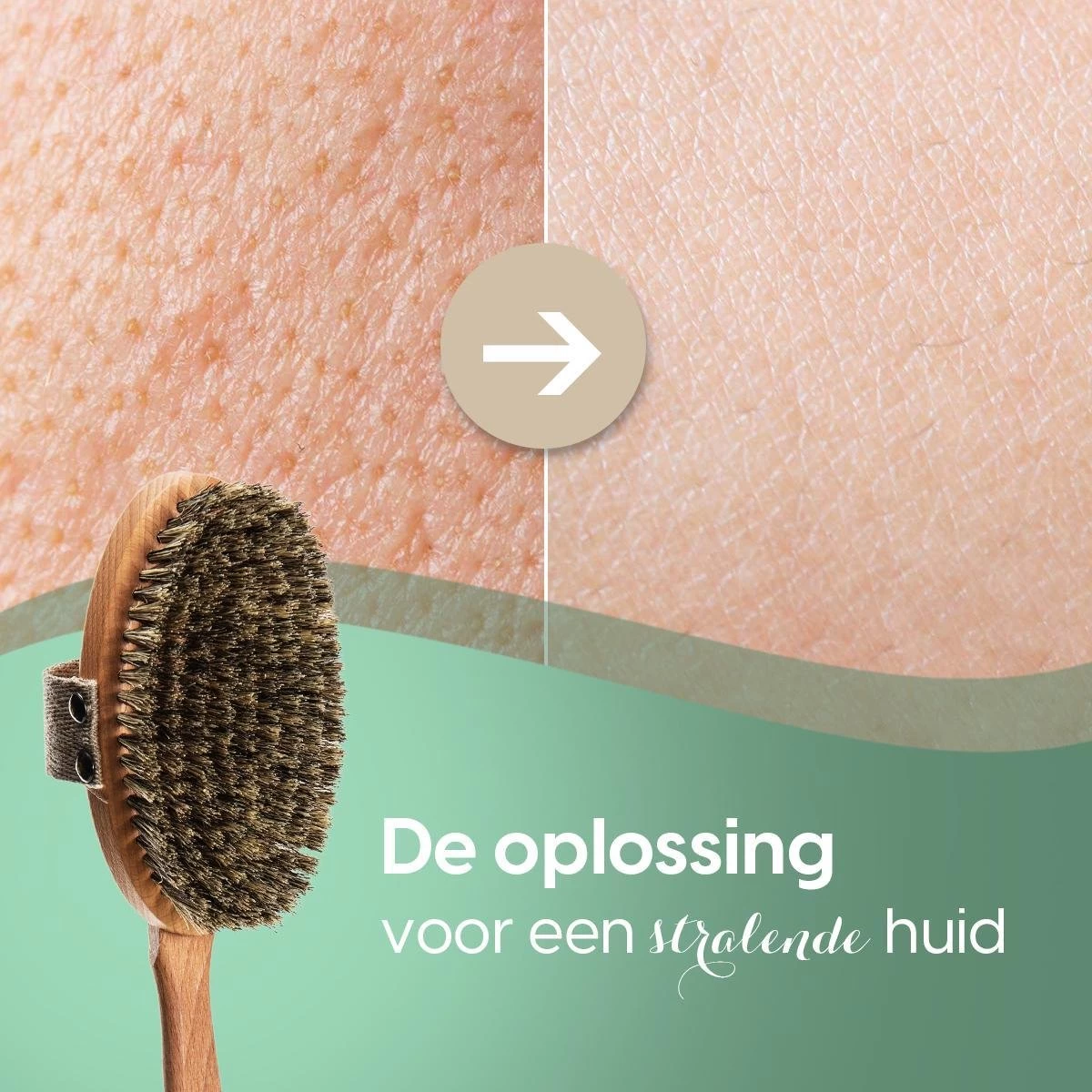 100% Natuurlijke Lichaamsborstel Met Lange Afneembare Steel - Rugborstel Badborstel Doucheborstel - Dry Brushing Huidborstel - Droogborstel - Douche 5 100% Natuurlijke Lichaamsborstel Met Lange Afneembare Steel - Rugborstel Badborstel Doucheborstel - Dry Brushing Huidborstel - Droogborstel - Douche - Afbeelding 5