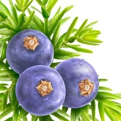 Kneipp Muscle Soothing - Douchegel -Lichaamsverzorging 1200x1200 584