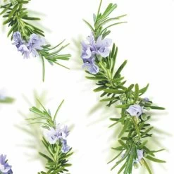 Kneipp New Energy - Douchegel -Lichaamsverzorging 1200x1200 621