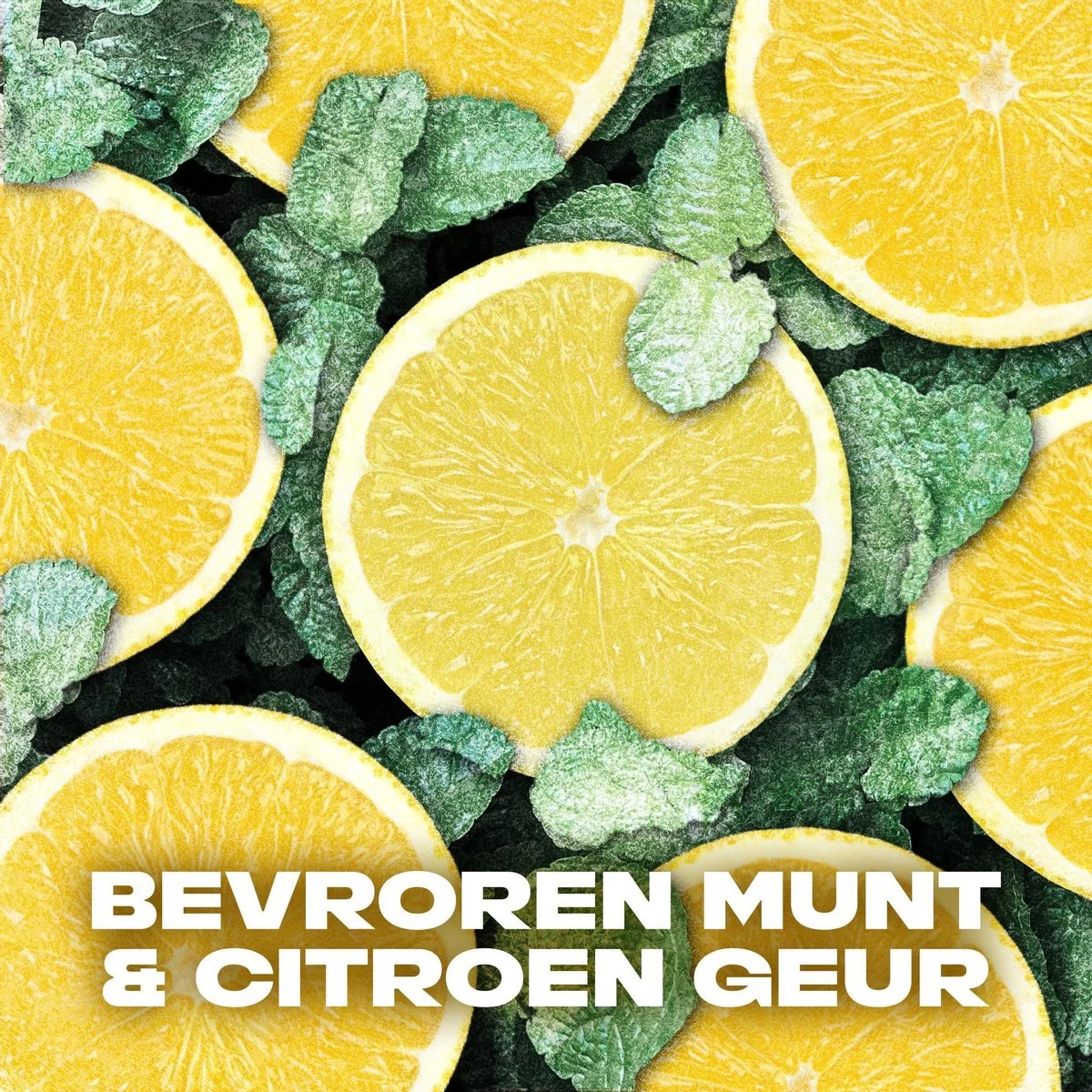 Axe Ice Chill 3-in-1 Douchegel - 6 X 250 Ml - Voordeelverpakking 6 Axe Ice Chill 3-in-1 Douchegel - 6 X 250 Ml - Voordeelverpakking - Afbeelding 6