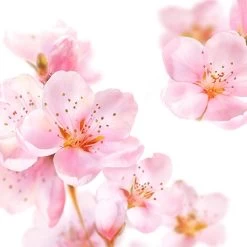 Kneipp Soft Skin - Badolie -Lichaamsverzorging 1200x1200 885