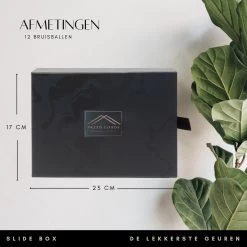 Bruisballen - 12 Stuks - XL Formaat - 12 Verschillende Geuren - Cadeau - 100 % Natuurlijk 13 Bruisballen - 12 Stuks - XL Formaat - 12 Verschillende Geuren - Cadeau - 100 % Natuurlijk -Lichaamsverzorging 1200x1200 891