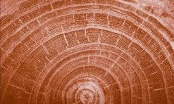 Kneipp Men - Warm Woods - Douche 2-in-1 -Lichaamsverzorging 1200x720 1