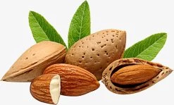 Amandelolie 100ml | 100% Puur & Onbewerkt | Koudgeperste Zoete Amandel Olie Voor Haar, Huid En Lichaam -Lichaamsverzorging 1200x723