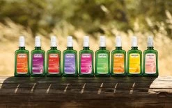 Weleda Lavendel Ontspannende Body Olie 6 Weleda Lavendel Ontspannende Body Olie -Lichaamsverzorging 1200x758 1