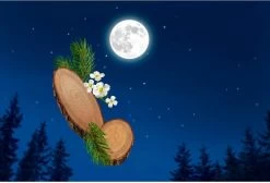 Kneipp Good Night - Douchegel -Lichaamsverzorging 1200x815 2