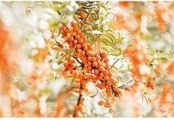 Lichaamsverzorging -Lichaamsverzorging 1200x825 4