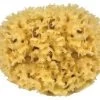 Natuur Spons Voor Het Lichaam - 10 Cm