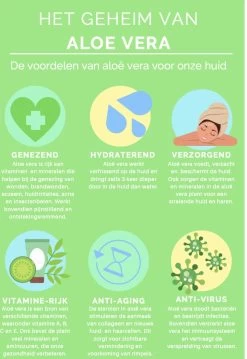 Aloeveco - Hydraterende Gel Van Aloe Vera - Genezende Huidverzorging - 99% Puur - Organic - 250 Ml 8 Aloeveco - Hydraterende Gel Van Aloe Vera - Genezende Huidverzorging - 99% Puur - Organic - 250 Ml -Lichaamsverzorging 826x1200 1